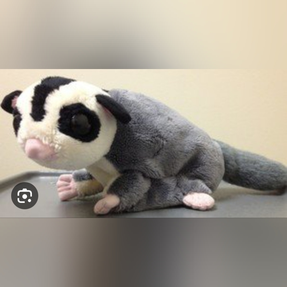 ISO Sugar Glider Stuffed Animal